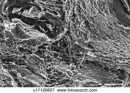 Stock Photo - Fractography of overload fracture. Fotosearch