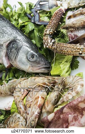 Stock Image - Fresh seafood on ice. Fotosearch