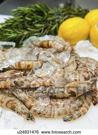 Fresh seafood on ice View Large Photo Image Stock Photograph - Fresh seafood on ice. Fotosearch
