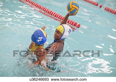 Stock Image - Girls playing water polo. Fotosearch