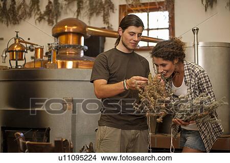 Picture - Man and woman smelling grains in distillery. Fotosearch