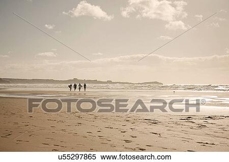 Stock Photography - Mature adults carrying surfboards. Fotosearch
