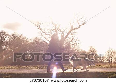 Stock Photo - Mid adult woman walking her Pyrenean mountain dog. Fotosearch