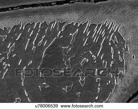 Stock Photo - Nickel diffusion, imaged in a scanning electron microscope. Fotosearch