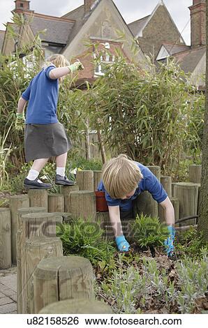 School boy planting in garden View Large Photo Image Stock Photograph - School boy planting in garden. Fotosearch