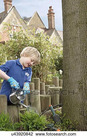 School boy watering plants in garden View Large Photo Image Stock Image - School boy watering plants in garden. Fotosearch