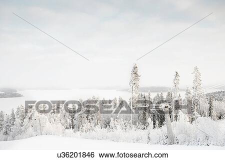 Stock Photograph - Snow covered trees and ski lift. Fotosearch