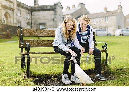 Stock Image - Teenage brother and sister watching duck from bench. Fotosearch