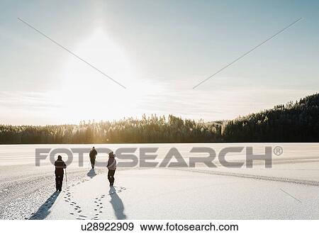 Three people nordic walking through snow covered field View Large Photo Image Stock Photo - Three people nordic walking through snow covered field. Fotosearch