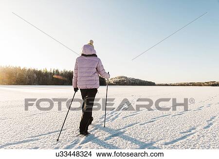 Woman nordic walking through snow covered field View Large Photo Image Picture - Woman nordic walking through snow covered field. Fotosearch