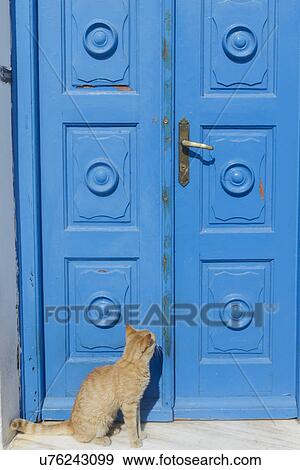 Cat sitting at a closed blue door; Mykonos; Greece View Large Photo Image Stock Photo - Cat sitting at a closed blue door; Mykonos; Greece. Fotosearch