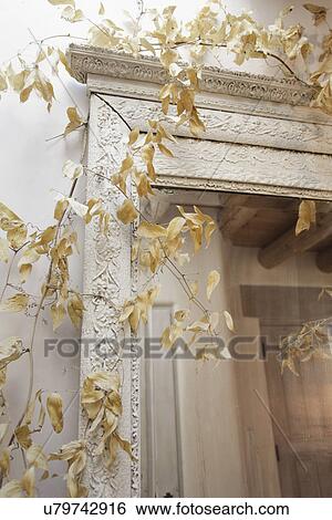 Stock Photograph - Close-up of creepers on cropped stone wall; Santa Fe; New Mexico; USA. Fotosearch