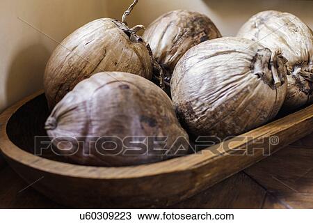 Stock Image - Close-up of dried coconuts; Santa Fe; New Mexico; USA. Fotosearch