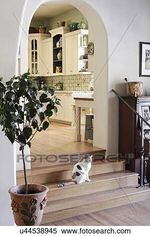 Wooden stairs leading to the kitchen at home; Santa Fe; New Mexico; USA View Large Photo Image Stock Photography - Wooden stairs leading to the kitchen at home; Santa Fe; New Mexico; USA. Fotosearch