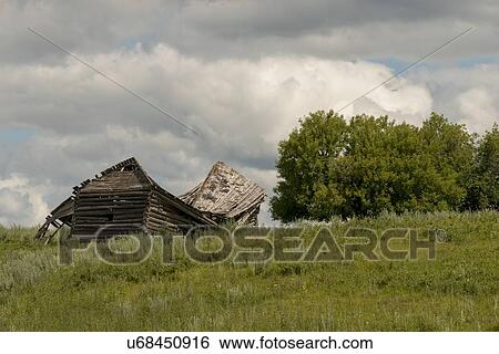 Stock Photograph - Abandoned farmhouse in a field, Riding Mountain National Park, Manitoba, Canada. Fotosearch