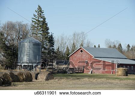 Stock Image - Barn and silo on a farm, Manitoba, Canada. Fotosearch