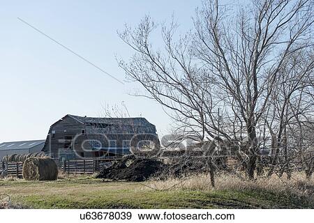 Barn in a field, Manitoba, Canada View Large Photo Image Stock Photo - Barn in a field, Manitoba, Canada. Fotosearch