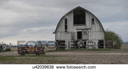 Barn in a field, Mount Vernon, Skagit County, Washington State, USA View Large Photo Image Stock Photo - Barn in a field, Mount Vernon, Skagit County, Washington State, USA. Fotosearch