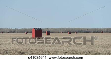Stock Image - Bee huts in a field, Manitoba, Canada. Fotosearch
