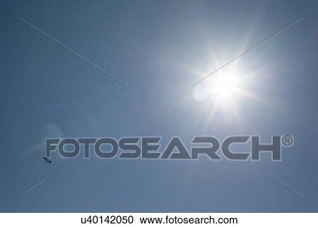 Bird flying in the sky against shining sun, Hecla Grindstone Provincial Park, Manitoba, Canada View Large Photo Image Stock Image - Bird flying in the sky against shining sun, Hecla Grindstone Provincial Park, Manitoba, Canada. Fotosearch
