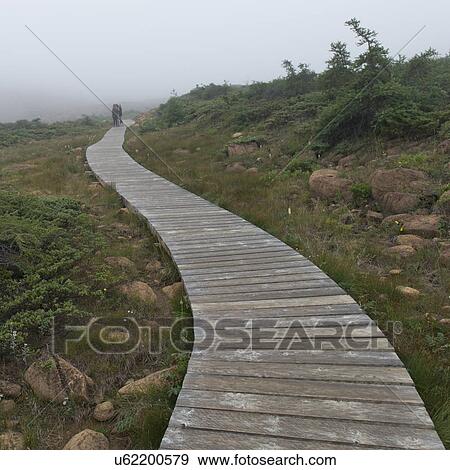 Boardwalk at Division No. 9, Subd. A, Gros Morne National Park, Newfoundland And Labrador, Canada View Large Photo Image Stock Photo - Boardwalk at Division No. 9, Subd. A, Gros Morne National Park, Newfoundland And Labrador, Canada. Fotosearch