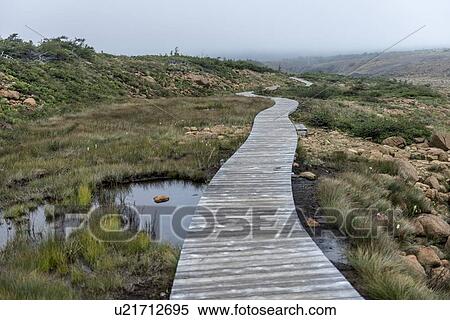 Stock Photography - Boardwalk at Division No. 9, Subd. A, Gros Morne National Park, Newfoundland And Labrador, Canada. Fotosearch
