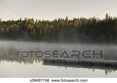 Boardwalk in a lake, Riding Mountain National Park, Manitoba, Canada View Large Photo Image Stock Photo - Boardwalk in a lake, Riding Mountain National Park, Manitoba, Canada. Fotosearch