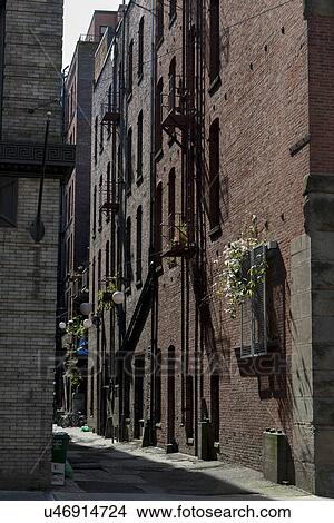 Picture - Building exteriors along a street, Seattle, Washington State, USA. Fotosearch
