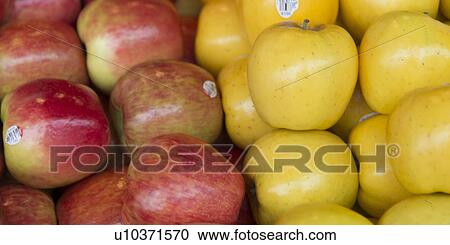 Close-up of apples for sale at a market stall, Pike Place Market, Seattle, Washington State, USA View Large Photo Image Stock Image - Close-up of apples for sale at a market stall, Pike Place Market, Seattle, Washington State, USA. Fotosearch