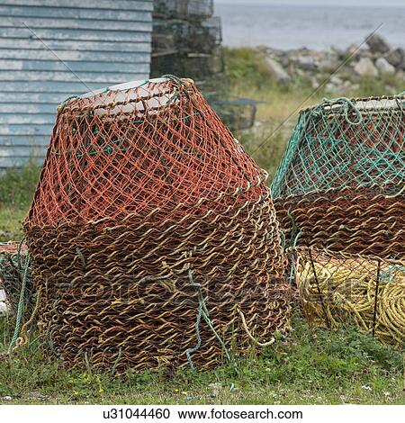 Close-up of crab pots, Parson's Pond, Newfoundland And Labrador, Canada View Large Photo Image Stock Image - Close-up of crab pots, Parson's Pond, Newfoundland And Labrador, Canada. Fotosearch