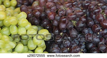 Close-up of grapes for sale at a market stall, Pike Place Market, Seattle, Washington State, USA View Large Photo Image Stock Photography - Close-up of grapes for sale at a market stall, Pike Place Market, Seattle, Washington State, USA. Fotosearch