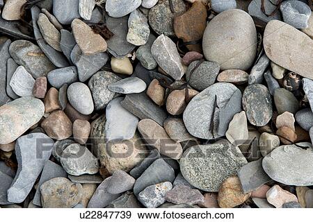 Stock Photo - Close-up of pebbles, Bonne Bay, Norris Point, Gros Morne National Park, Newfoundland And Labrador, Canada. Fotosearch