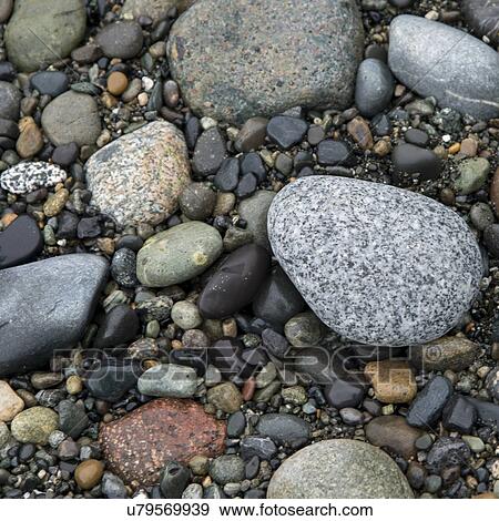 Close-up of pebbles, Deception Pass State Park, Oak Harbor, Washington State, USA View Large Photo Image Stock Photo - Close-up of pebbles, Deception Pass State Park, Oak Harbor, Washington State, USA. Fotosearch