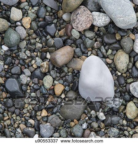 Stock Photo - Close-up of pebbles, Deception Pass State Park, Washington State, USA. Fotosearch