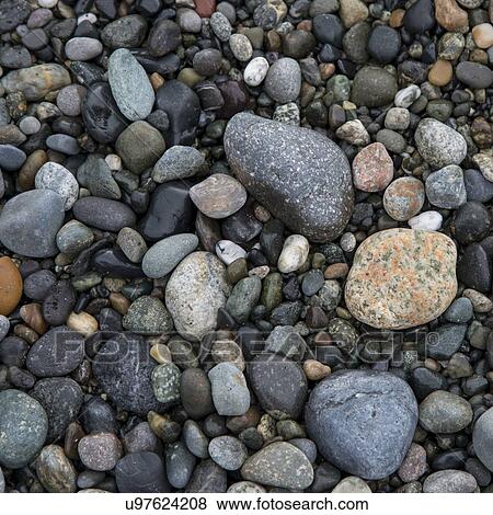 Close-up of pebbles, Deception Pass State Park, Washington State, USA View Large Photo Image Stock Photo - Close-up of pebbles, Deception Pass State Park, Washington State, USA. Fotosearch