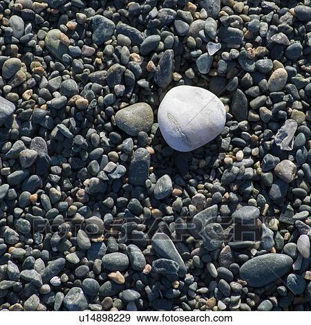 Stock Photo - Close-up of pebbles, Twillingate, North Twillingate Island, Newfoundland And Labrador, Canada. Fotosearch
