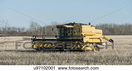 Combine harvester in a field, Manitoba, Canada View Large Photo Image Stock Image - Combine harvester in a field, Manitoba, Canada. Fotosearch