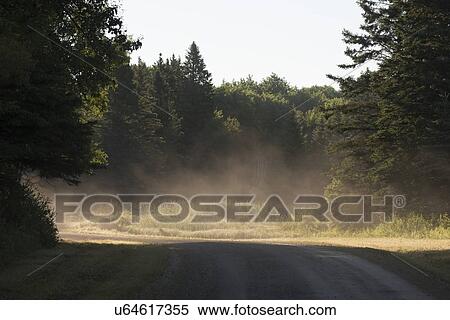 Dirt road passing through a forest, Riding Mountain National Park, Manitoba, Canada View Large Photo Image Stock Photography - Dirt road passing through a forest, Riding Mountain National Park, Manitoba, Canada. Fotosearch