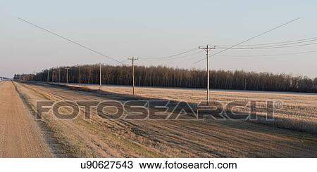 Dirt road passing through a prairie field, Manitoba, Canada View Large Photo Image Stock Image - Dirt road passing through a prairie field, Manitoba, Canada. Fotosearch