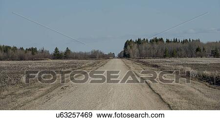 Stock Photo - Dirt road passing through a prairie field, Manitoba, Canada. Fotosearch