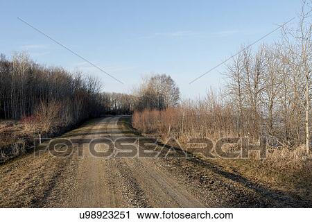 Dirt road passing through Hecla Grindstone Provincial Park, Manitoba, Canada View Large Photo Image Stock Image - Dirt road passing through Hecla Grindstone Provincial Park, Manitoba, Canada. Fotosearch