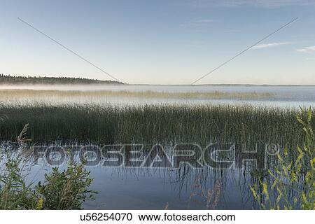 Stock Image - Edge of Marshland, Riding Mountain National Park, Manitoba, Canada. Fotosearch