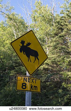 Stock Image - Elk crossing sign, Riding Mountain National Park, Manitoba, Canada. Fotosearch