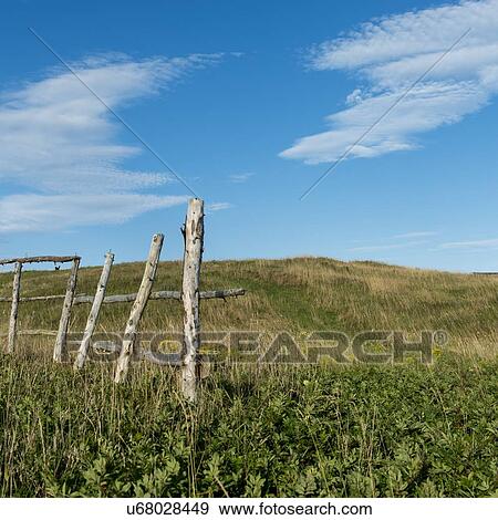 Fence at Witless Bay, Avalon Peninsula, Newfoundland And Labrador, Canada View Large Photo Image Stock Photo - Fence at Witless Bay, Avalon Peninsula, Newfoundland And Labrador, Canada. Fotosearch