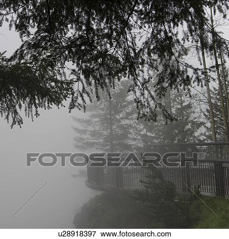 Fog over an observation point, Snoqualmie Falls, Snoqualmie, Fall City, Washington State, USA View Large Photo Image Stock Photo - Fog over an observation point, Snoqualmie Falls, Snoqualmie, Fall City, Washington State, USA. Fotosearch