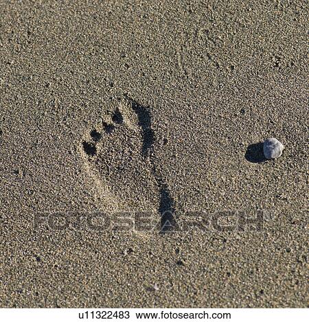 Stock Image - Footprint in sand, North Twillingate Island, Newfoundland And Labrador, Canada. Fotosearch
