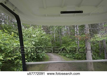 Forest viewed from vehicle, Hecla Grindstone Provincial Park, Manitoba, Canada View Large Photo Image Stock Image - Forest viewed from vehicle, Hecla Grindstone Provincial Park, Manitoba, Canada. Fotosearch