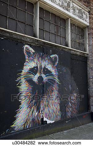 Stock Image - Giant poster of a racoon, Seattle, Washington State, USA. Fotosearch