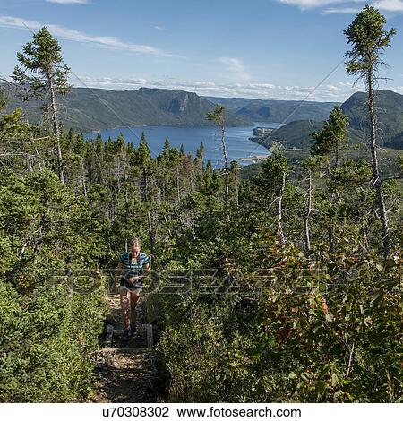 Girl at Lookout Trail, Lookout Hills, Bonne Bay, Gros Morne National Park, Newfoundland And Labrador, Canada View Large Photo Image Stock Image - Girl at Lookout Trail, Lookout Hills, Bonne Bay, Gros Morne National Park, Newfoundland And Labrador, Canada. Fotosearch