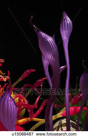 Stock Photo - Glass sculpture at the Chihuly Garden and Glass Museum, Seattle Center, Seattle, Washington State, USA. Fotosearch